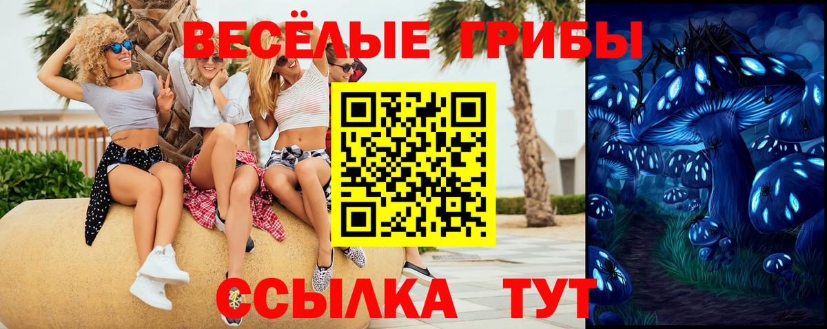 Псилоцибиновые грибы Cubensis  Псилоцибиновые грибы Psilocybine cubensis  Зеленокумск  Вход с VPN 